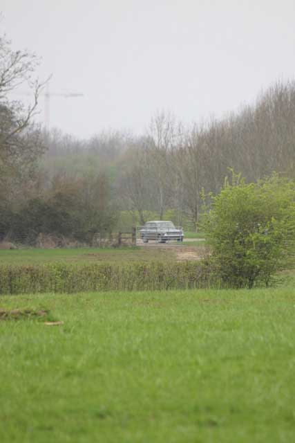 Imp in the mist at Prestwold Park